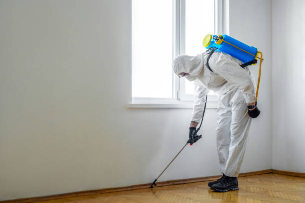 Best Real Estate Pest Inspections  in Montecito, CA